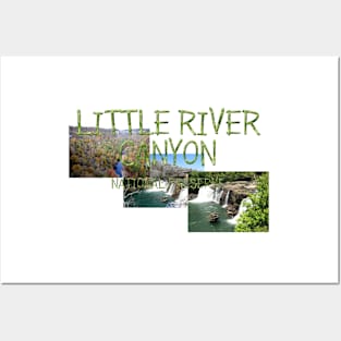 Little River Canyon National Preserve Posters and Art